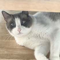 Thumbnail photo of Hubbell #3