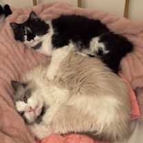 Thumbnail photo of Gilda Catner #2