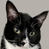 Thumbnail photo of Zipper #4