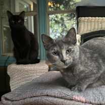 Thumbnail photo of Michy #3