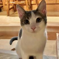 Thumbnail photo of Sadie #3