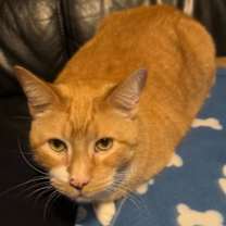 Thumbnail photo of Prince #2