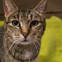 Thumbnail photo of Greta #1