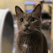 Thumbnail photo of Squeak #3