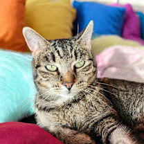 Thumbnail photo of Greta #3