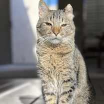 Thumbnail photo of Wendy #1