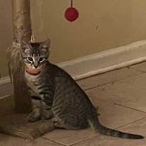 Thumbnail photo of Kevin #2