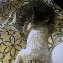 Thumbnail photo of Kevin #4