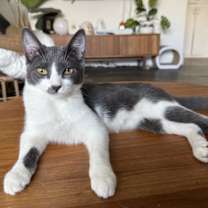 Thumbnail photo of Denali #3