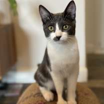 Thumbnail photo of Denali #4