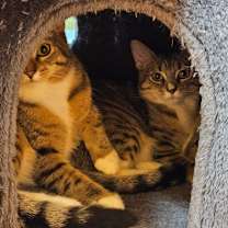 Thumbnail photo of Ghost #4