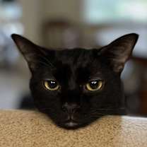 Thumbnail photo of Bea #4