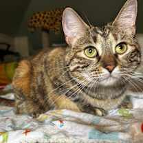 Thumbnail photo of Molly #2