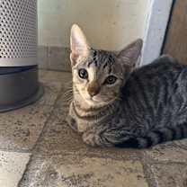 Thumbnail photo of Daisy #3