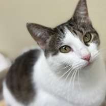 Thumbnail photo of Tart #3