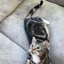 Thumbnail photo of Ashley #2