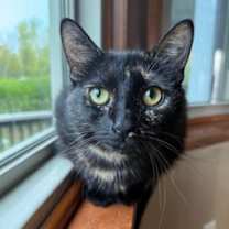 Thumbnail photo of Rafaela #1