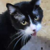 Thumbnail photo of Galaxy #3