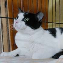 Thumbnail photo of Jerry #2