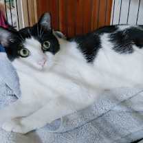 Thumbnail photo of Jerry #3