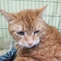 Thumbnail photo of Peaches #2