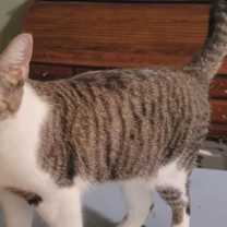 Thumbnail photo of Rhonda #1