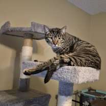 Thumbnail photo of Jenny #2