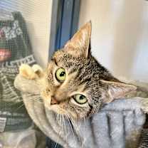 Thumbnail photo of Daisy #2