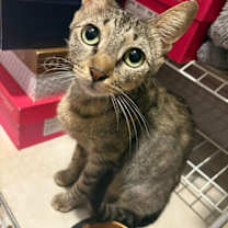 Thumbnail photo of Lupita #1