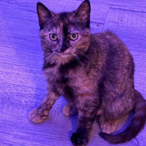 Thumbnail photo of Winnie #2