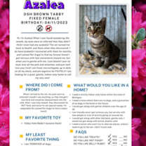 Thumbnail photo of Azalea #2