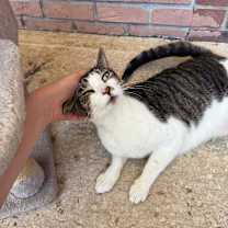 Thumbnail photo of Gavin #2