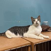 Thumbnail photo of Gavin #3