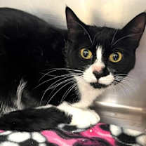 Thumbnail photo of 656414 Maddy #1