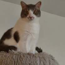 Thumbnail photo of Lourde #1