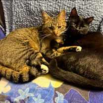 Thumbnail photo of Avery #2