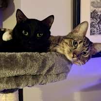 Thumbnail photo of Avery #4