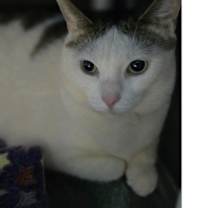 Thumbnail photo of Juniper #2