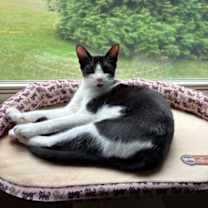 Thumbnail photo of Keating25 #1