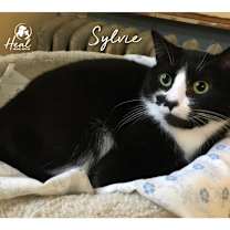 Thumbnail photo of Sylvie #2