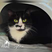 Thumbnail photo of Sylvie #3