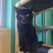 Thumbnail photo of Sammy #1