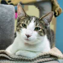 Thumbnail photo of Navya #2