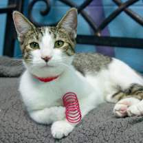 Thumbnail photo of Navya #3