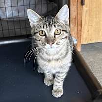 Thumbnail photo of Mikhail #3