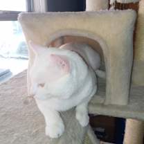Thumbnail photo of Sid #3