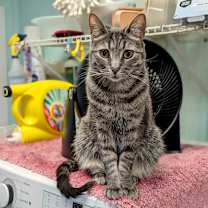 Thumbnail photo of Dylan #2