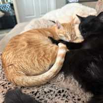 Thumbnail photo of Tim #2