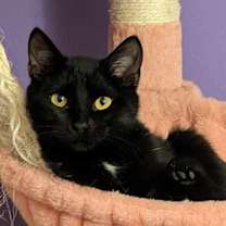 Thumbnail photo of Nadia (coming soon!) #1