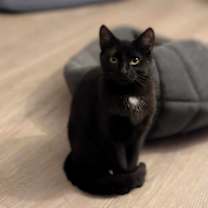 Thumbnail photo of Nadia (coming soon!) #2